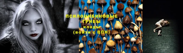 apvp Алексеевка