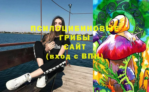 мдпв Алзамай