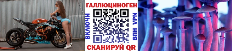 Галлюциногенные грибы Psilocybine cubensis  Старый Оскол 